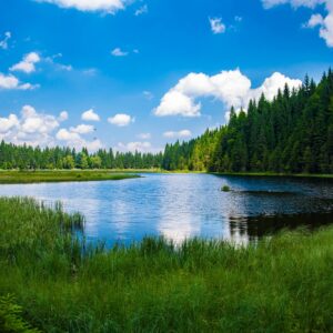 Beautiful landscape of a tranquil lake surrounded by dense green forest under a clear blue sky.