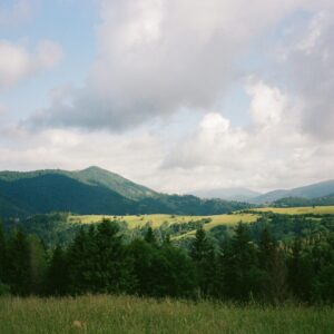 Beautiful summer landscape of the Carpathian Mountains in Zakarpattia, Ukraine.