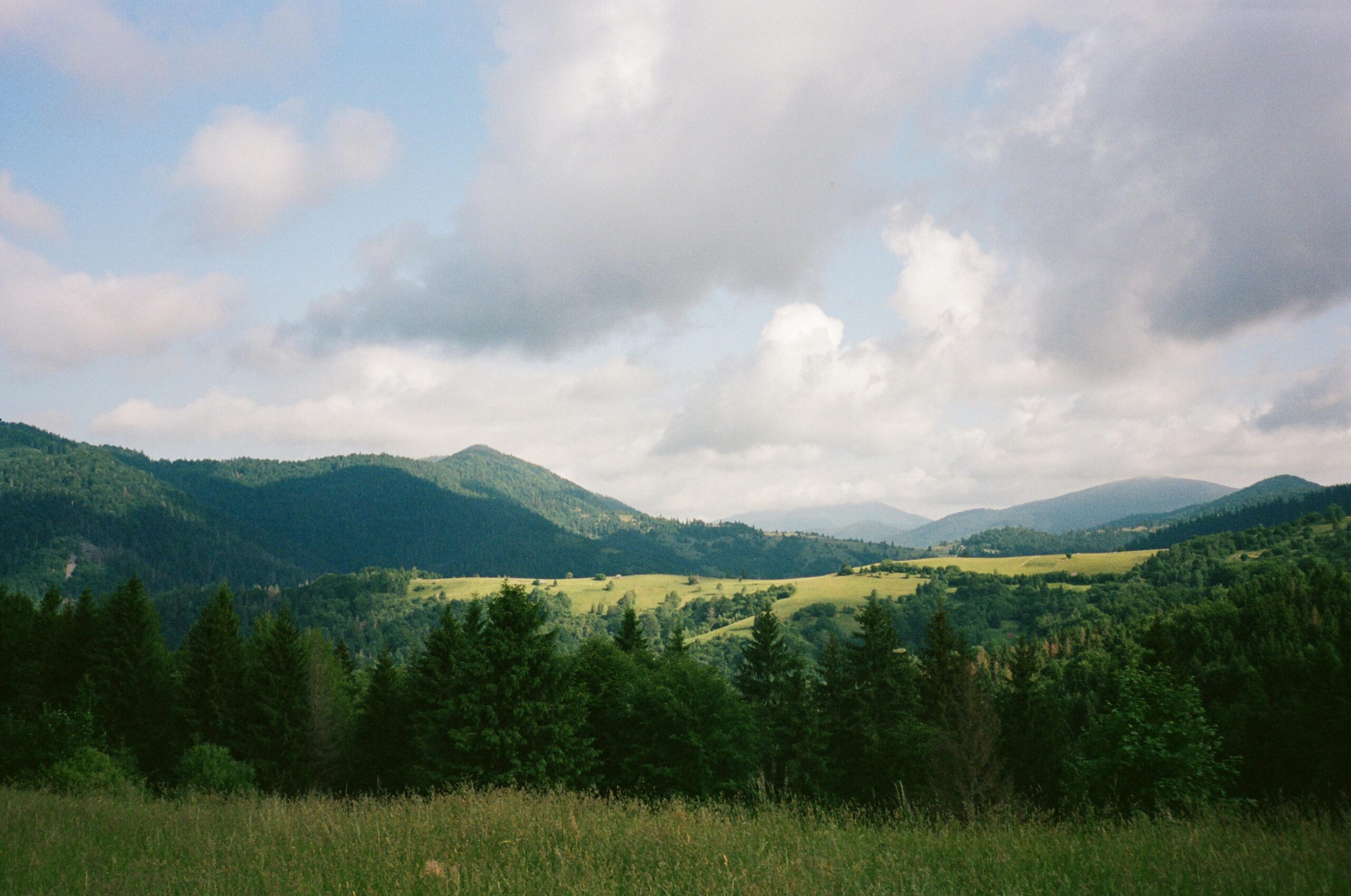 Beautiful summer landscape of the Carpathian Mountains in Zakarpattia, Ukraine.